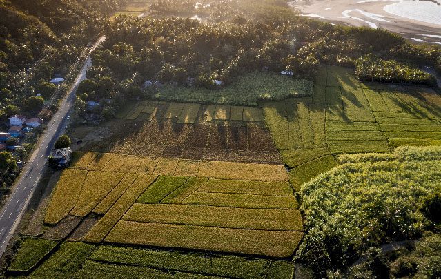 Ruralplan Regulariza O Ambiental